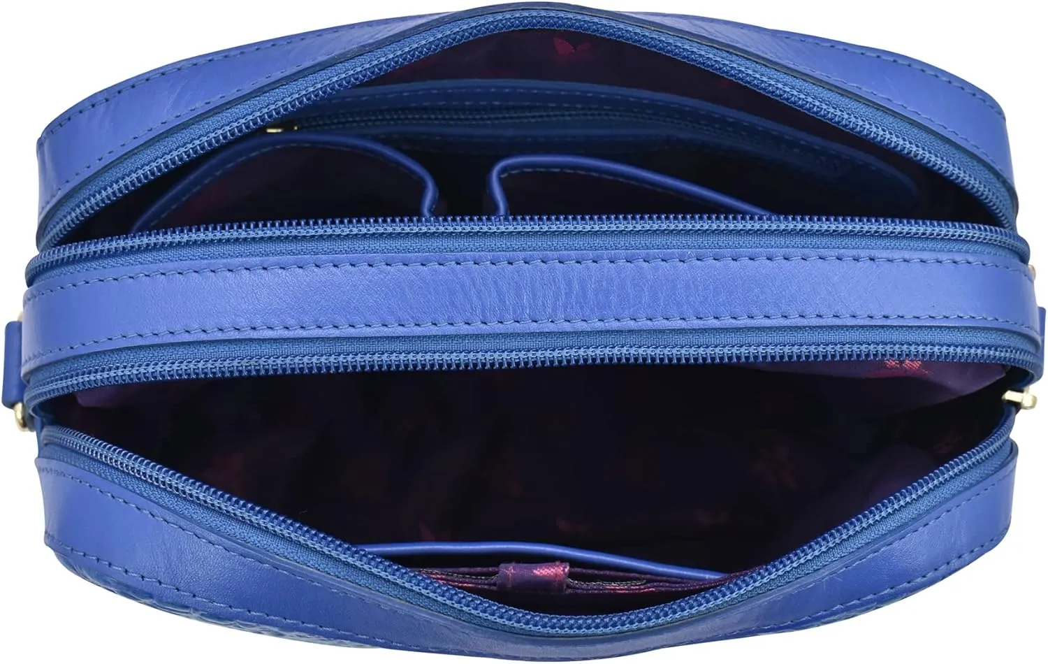 Anuschka Women's Original Hand-Painted Leather Twin Top Messenger