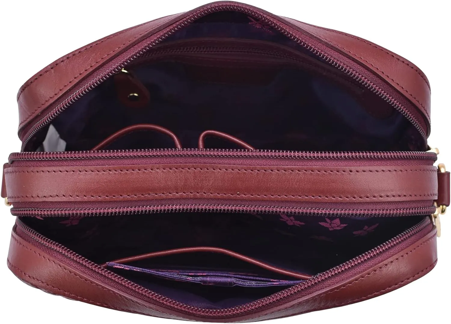 Anuschka Women's Original Hand-Painted Leather Twin Top Messenger