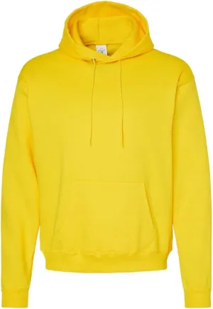 Hanes Men's Classic,Hoodie